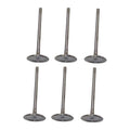Set 6 Valvulas Admision Para Buick Enclave 3.6l V6 08-10