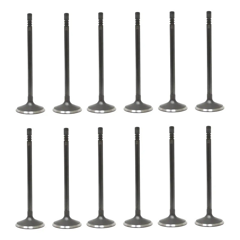 Set 12 Valvulas Admision Para Ford Escape 3.0l V6 10-12