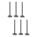 Set 6 Valvulas Admision Para Nissan Terrano 3.0l Vg30e 1995
