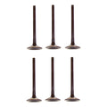 Set 6 Valvulas Escape Para Dodge Dakota 5.2l V8 92-99