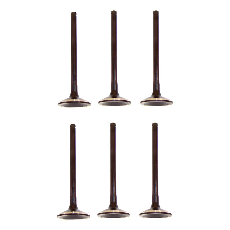 Set 6 Valvulas Escape Para Dodge Dakota 5.2l V8 92-99