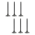Set 6 Valvulas Admision Para Ford Windstar 3.0l V6 99-00
