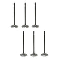 Set 6 Valvulas Admision Para Dodge Durango 3.6l V6 11-15