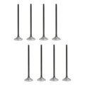 Set 8 Valvulas Admision Para Honda Civic 1.6l D16y7 L4 92-00
