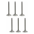 Set 6 Valvulas Admision Para Nissan 350z 3.5l V6 03-06