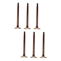 Set 6 Valvulas Escape Para Nissan Terrano 3.0l Vg30e V6 1995