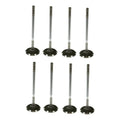 Set 8 Valvulas Admision Para Chrysler Pt Cruiser 2.4l 01-10