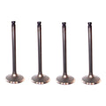 Set 4 Valvula Admision Mitsubishi Montero Sport 3.5 V6 99-04