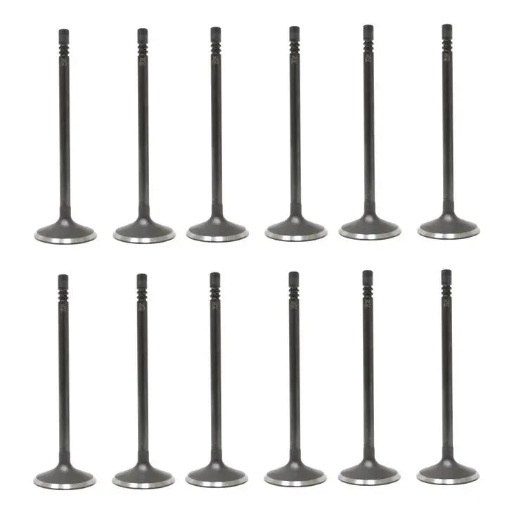 Set 12 Valvulas Admision Para Ford Fusion 3.0l V6 10-12