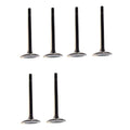 Set 6 Valvulas Escape Compatible Ford Explorer 4.0l V6 97-10
