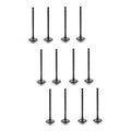 Set 12 Valvulas Escape Para Toyota Fj Cruiser 4.0l V6 10-14