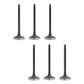 Set 06 Valvulas Admision Para Ford Ranger 3.0l V6 99-04