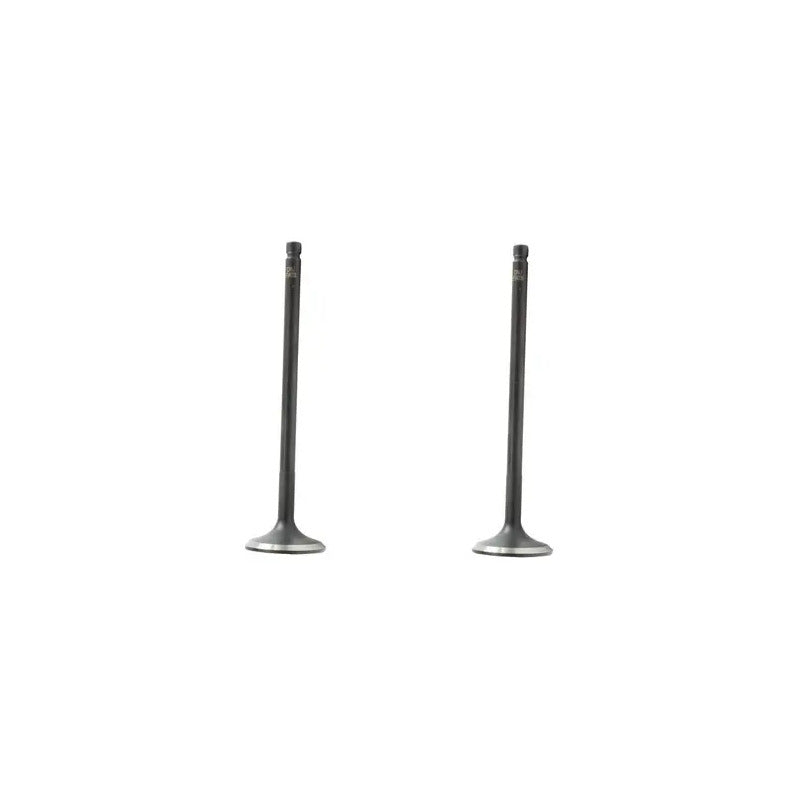 Set 2 Valvulas De Escape Para Ford Edge 2.0l L4 12-14