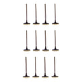 Set 12 Valvulas Admision Para Toyota 4runner 4.0l V6 03-16