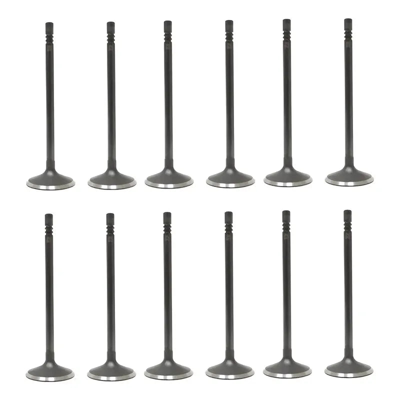 Set 12 Valvulas Admision Para Ford Escape 3.0l V6 01-09