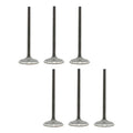 Set 6 Valvulas Admision Para Ford F-150 4.2l V6 97-08