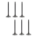 Set 6 Valvulas Admision Para Ford Ranger 3.0l V6 99-08