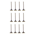 Set 12 Valvulas Escape Para Toyota Fj Cruiser 4.0l V6 07-14