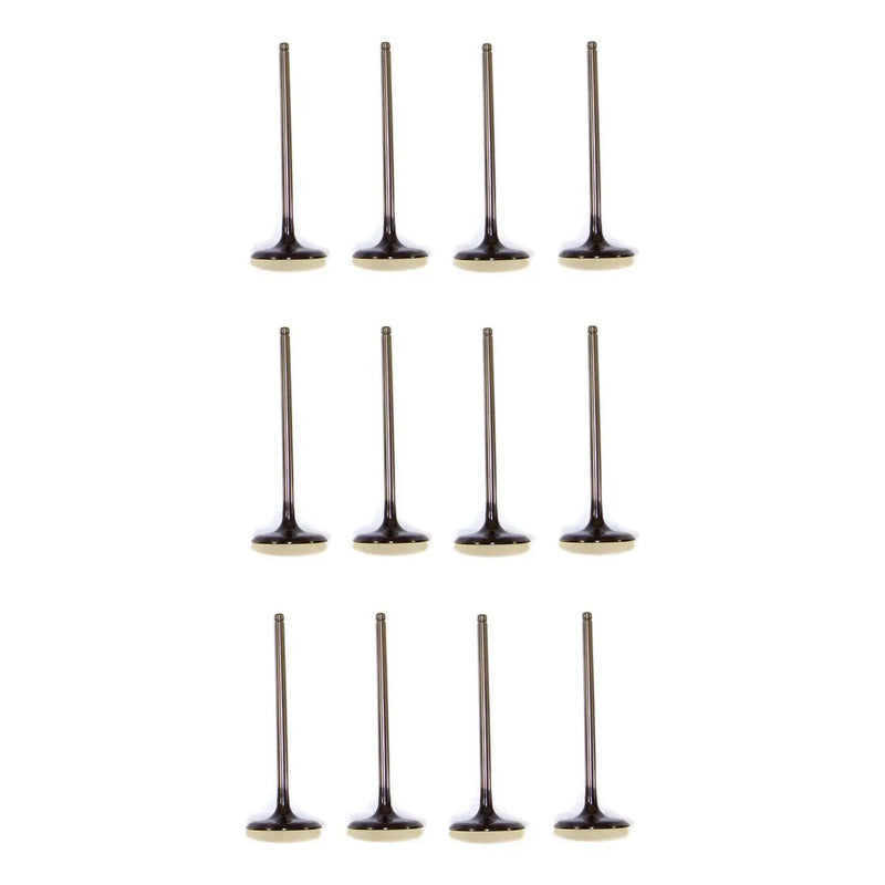 Set 12 Valvulas Escape Para Toyota Fj Cruiser 4.0l V6 07-14