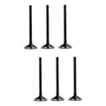 Set 6 Valvulas Escape Para Dodge Dakota 3.7l V6 04-10