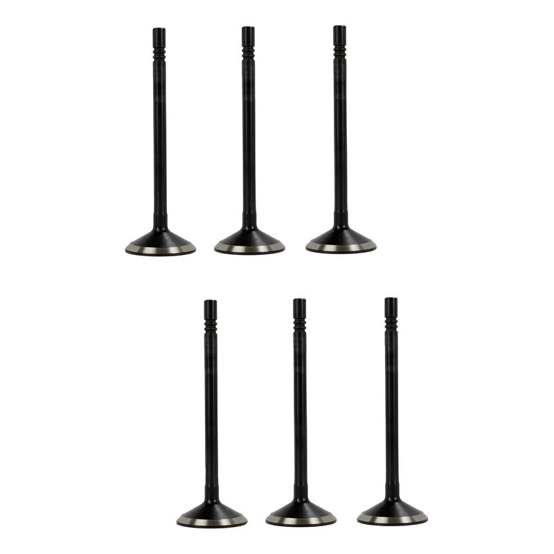 Set 6 Valvulas Escape Para Dodge Dakota 3.7l V6 04-10