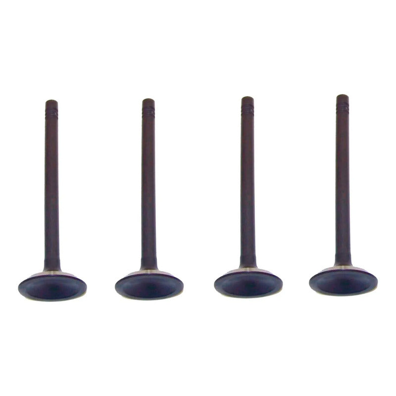 Set 4 Valvula Escape Para Ford Windstar 3.0l V6 95-99
