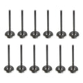 Set 12 Valvulas Admision Para Kia Sedona 3.5l V6 02-05
