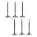 Set 6 Valvulas Admision Para Jeep Grand Cherokee 4.0l 99-04