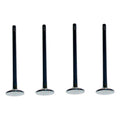 Set 4 Valvula Escape Para Chrysler Pacifica 4.0l V6 07-08