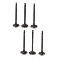 Set 6 Valvulas Admision Para Ford Fiesta 1.6l L4 11-19
