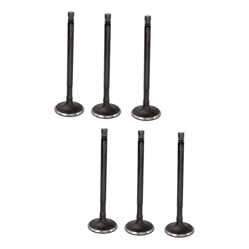 Set 6 Valvulas Admision Para Ford Fiesta 1.6l L4 11-19
