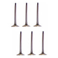 Set 6 Valvulas Escape Para Nissan Murano 3.5l V6 03-07