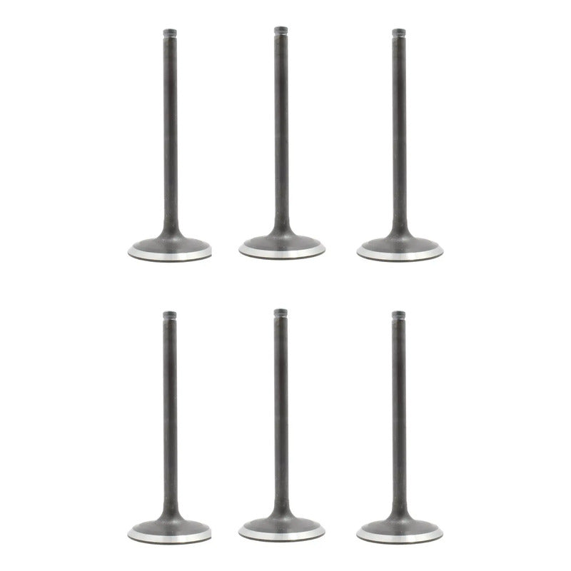Set 6 Valvulas Admision Para Dodge Durango 3.9l V6 98-99