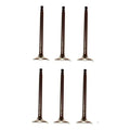 Set 6 Valvulas Escape Compatible Mercury Villager 3.3l 99-02