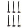 Set 6 Valvulas Admision Para Nissan Pathfinder 3.3l V6 96-00