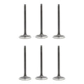 Set 6 Valvulas Admision Para Jeep Grand Cherokee 5.9 V8 1998