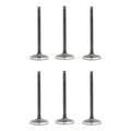 Set 6 Valvulas Admision Para Dodge Dakota 3.9l V6 92-03