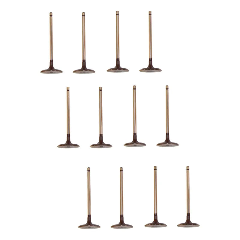 Set 12 Valvulas Admision Para Toyota Fj Cruiser 4.0 V6 10-14