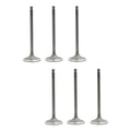 Set 6 Valvulas Admision Para Subaru Legacy 2.0l L4 05-09