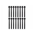 Juego Tornillos Culata Ram C/v 3.6 V6 12-15