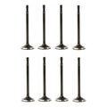 Set 8 Valvulas Escape Para Jeep Grand Cherokee 4.7l V8 08-09