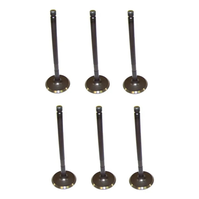 Set 6 Valvulas Escape Compatible Ford F-150 3.5l V6 15-17