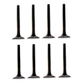Set 8 Valvulas Escape Compatible Scion Xb 2.4l L4 08-15