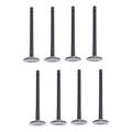 Set 8 Valvulas Admision Para Hyundai Accent 1.6l G4ed 01-11