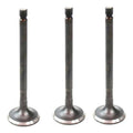 Set 3 Valvulas Escape Para Toyota Rav4 2.4l L4 04-12
