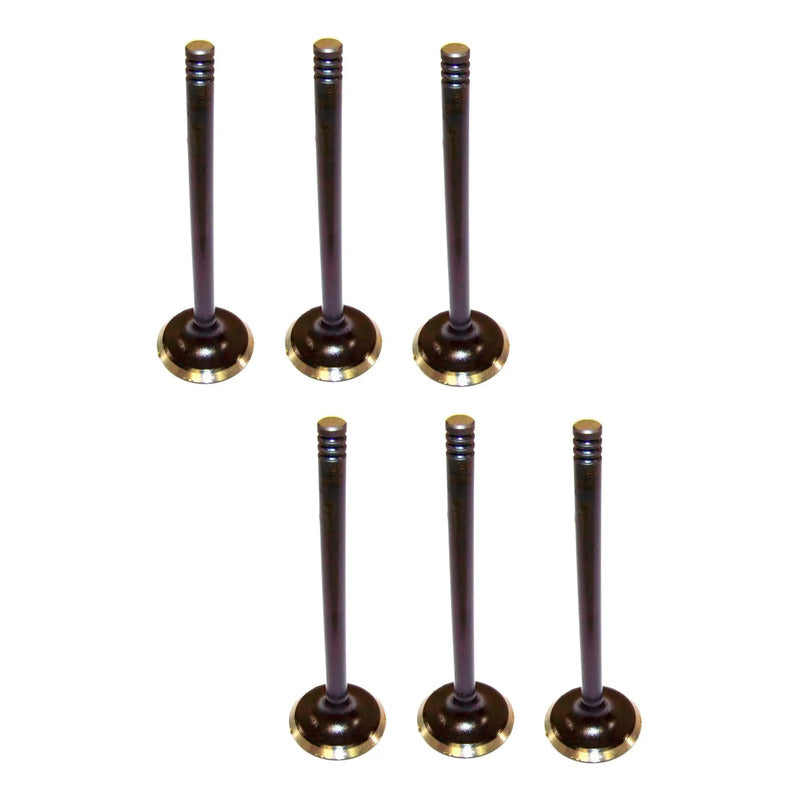 Set 6 Valvulas Escape Para Jeep Grand Cherokee 4.0l L6 99-04