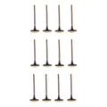 Set 12 Valvulas Admision Para Toyota Tundra 4.0l V6 05-14